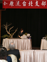 寒帶風情的插花表演