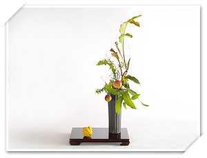 文人花花型